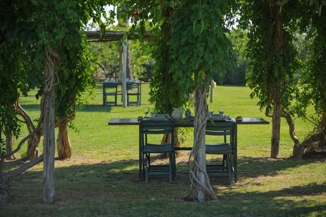 Agriturismo Bandinelli Бракканьи Экстерьер фото